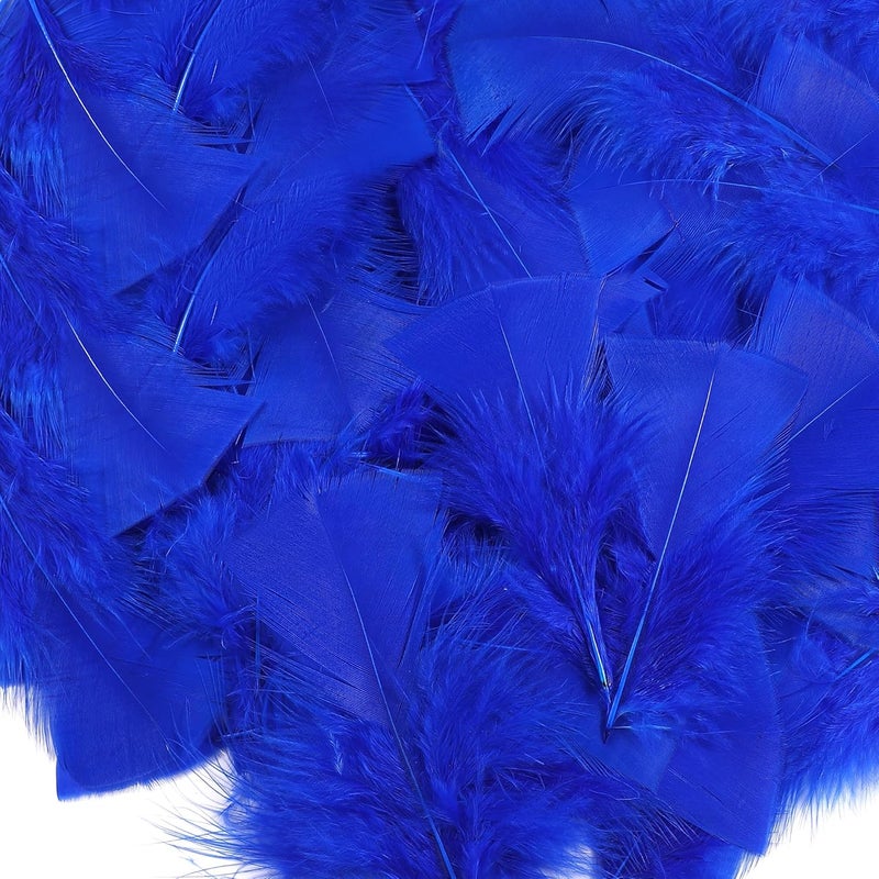 Soarer Royal Blue Turkey Feathers - 300pcs 3-5inch Feathers for Kindergarten DIY Crafts,Wedding Home Party Decorations,Dream Catcher Supplies(Royal Blue) - Image 1